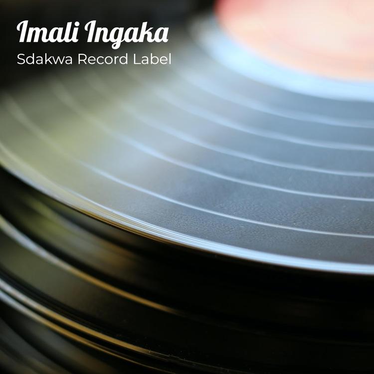 Sdakwa Record Label's avatar image