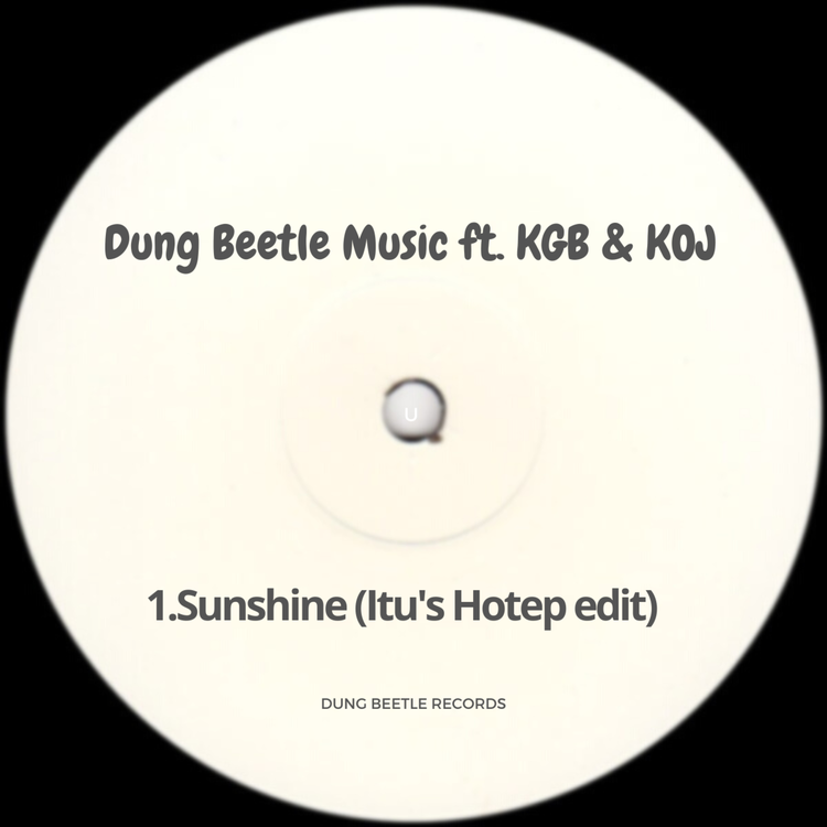 Dung Beetle Music's avatar image