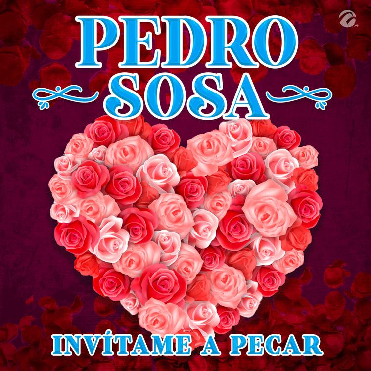 Pedro Sosa's avatar image