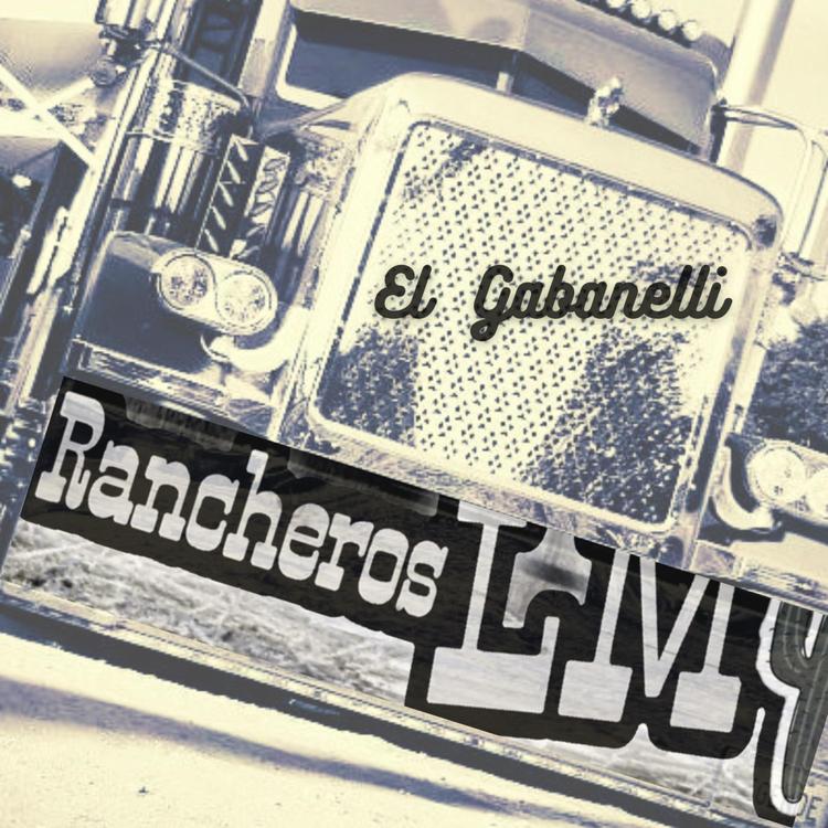 Rancheros LM's avatar image