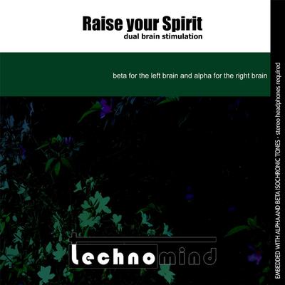 Raise Your Spirit: Dual Brain Stimulation By Technomind's cover