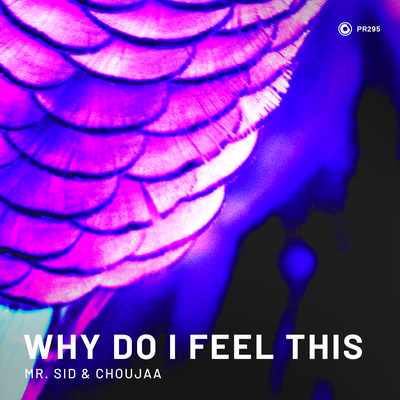 Why Do I Feel This By Mr. Sid, Choujaa's cover