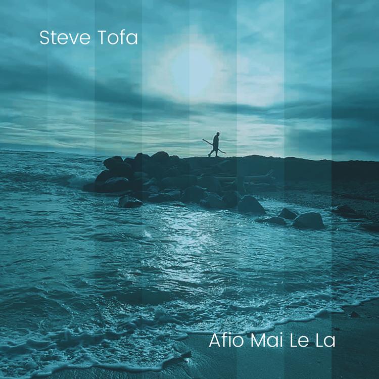 Steve Tofa's avatar image