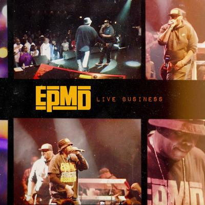 You Gots To Chill (Live) By EPMD's cover