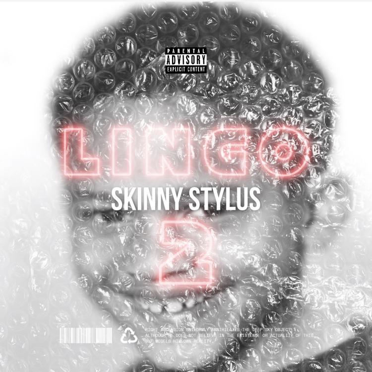 Skinny Stylus's avatar image