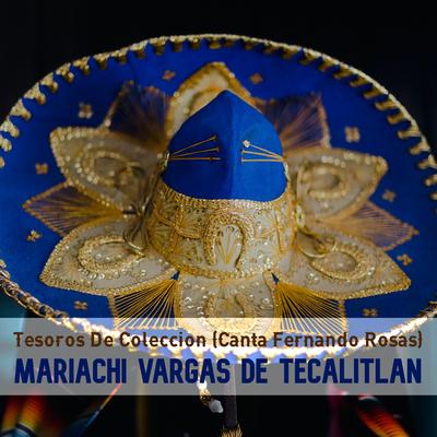 Tesoros de Colección (Canta Fernando Rosas)'s cover