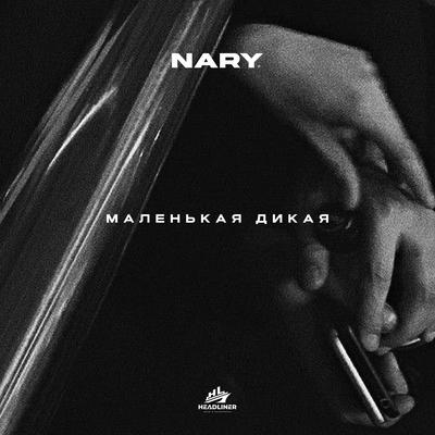Nary's cover