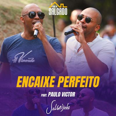 Encaixe Perfeito (feat. Paulo Victor) By Salgadinho, Paulo Victor's cover