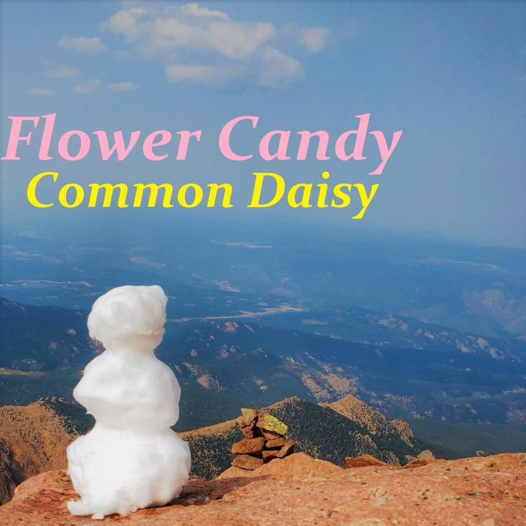 Flower Candy's avatar image