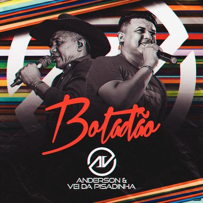 Botadão By Anderson & Vei da Pisadinha's cover