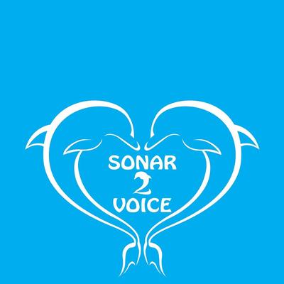 Sonar2voice's cover