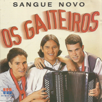 Surungo da Tia Nica By Orlandinho Rocha, Os Gaiteiros's cover