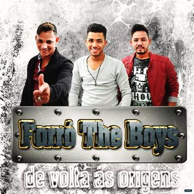 Canarinho Prisioneiro By Forró The Boys's cover