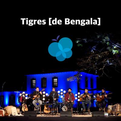 Carvalhos de Justiça By Prosa e Canto, Tigres De Bengala's cover