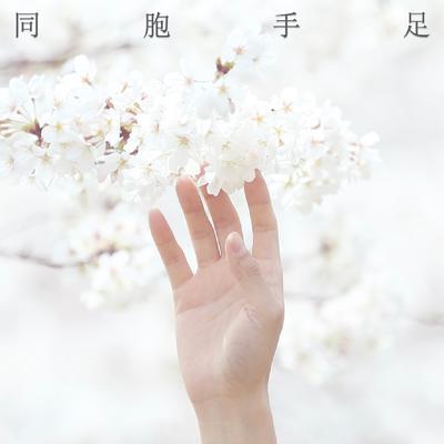 青桔音乐's cover