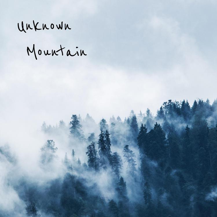 Unknown Mountain's avatar image