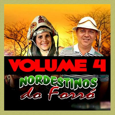 Tiraram o meu sossego - NORDESTINOS DO FORRÓ By Nordestinos do Forró's cover