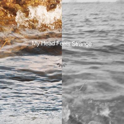 My Head Feels Strange By Vistas's cover