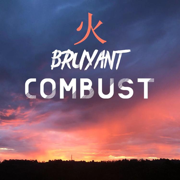 BRUYANT's avatar image