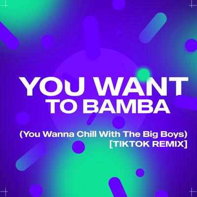 You Want to Bamba (You Wanna Chill with the Big Boys) [Tiktok Remix] By DJ Gotta's cover