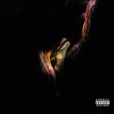 No Snakes's cover