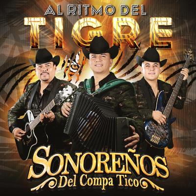 Al Ritmo del Tigre (En Vivo)'s cover