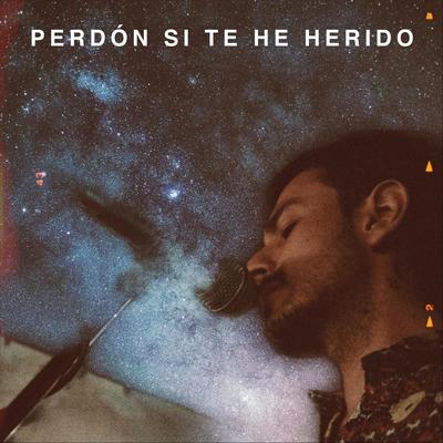 Perdón Si Te He Herido's cover