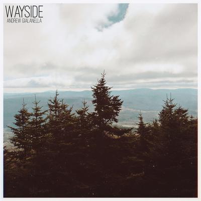 Wayside By Andrew Gialanella's cover