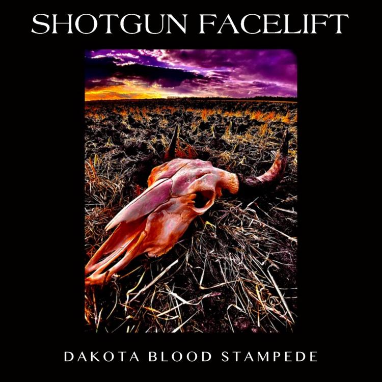 Shotgun Facelift's avatar image