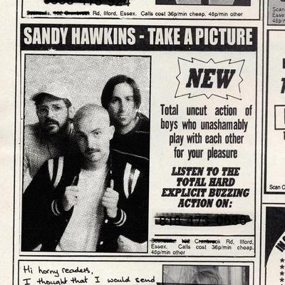 Sandy Hawkins's cover