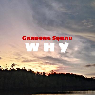 Why's cover