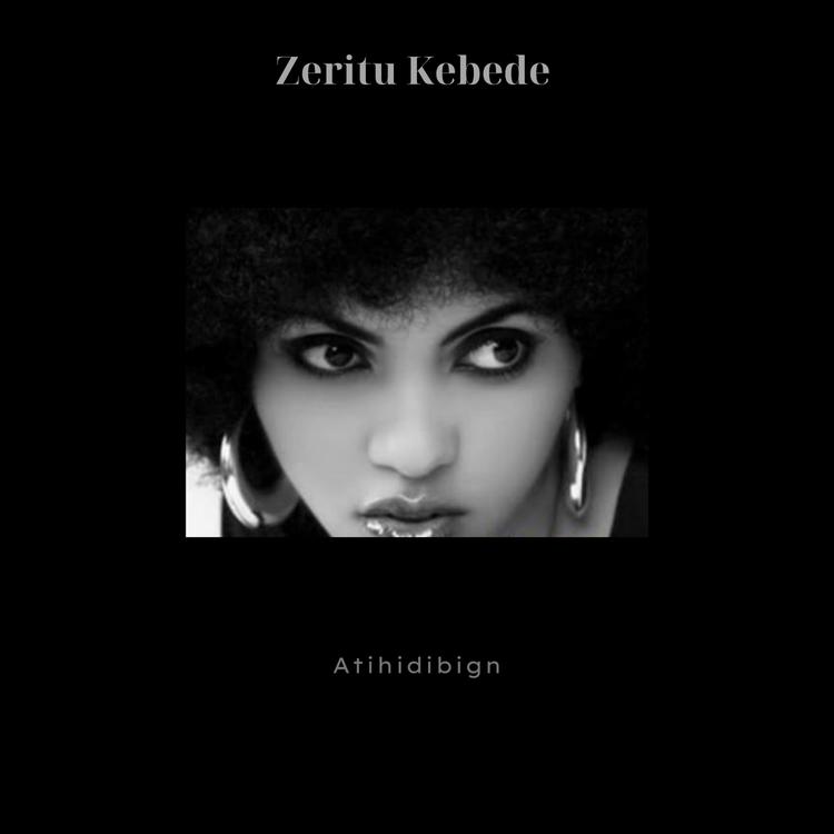 Zeritu Kebede's avatar image