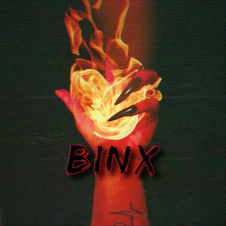 BinX's avatar image