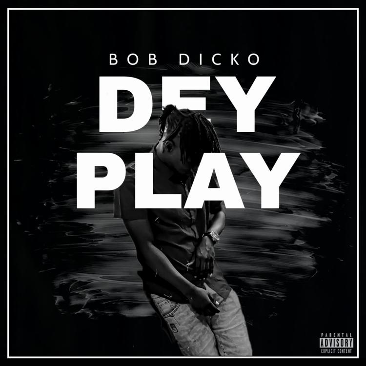 Bob Dicko's avatar image