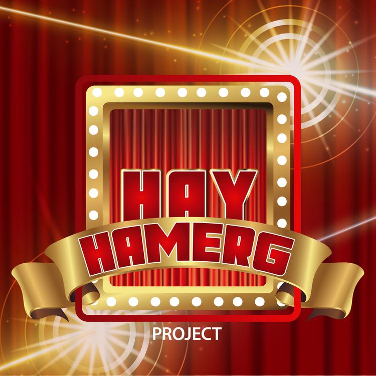 Hay Hamerg Project's avatar image