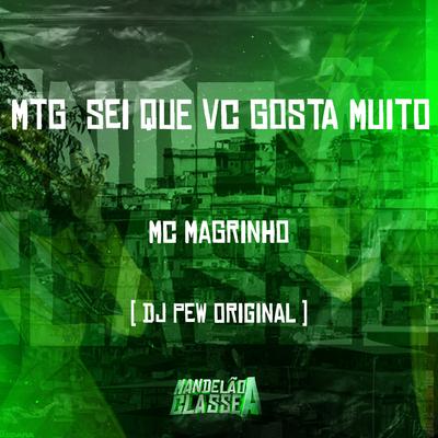 Mtg Sei Que Vc Gosta Muito By DJ Pew Original, Mc Magrinho's cover
