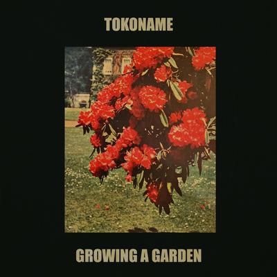 Tokoname's cover