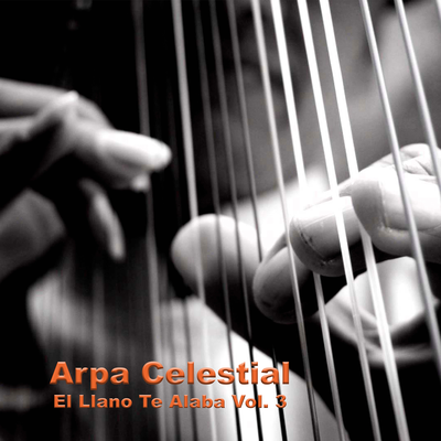 Mi Gran Tesoro (Cover)'s cover