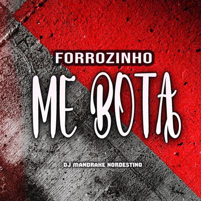 Forrozinho Me Bota (feat. Mc Morena) (feat. Mc Morena) By Dj Mandrake Nordestino, MC Morena's cover