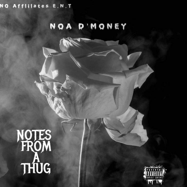 NOA D'money's avatar image