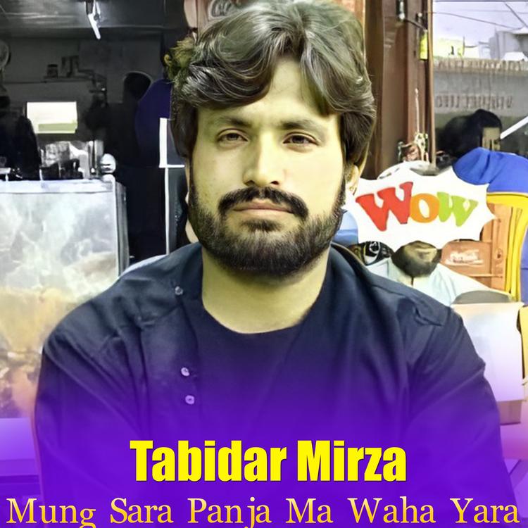 Tabidar Mirza's avatar image