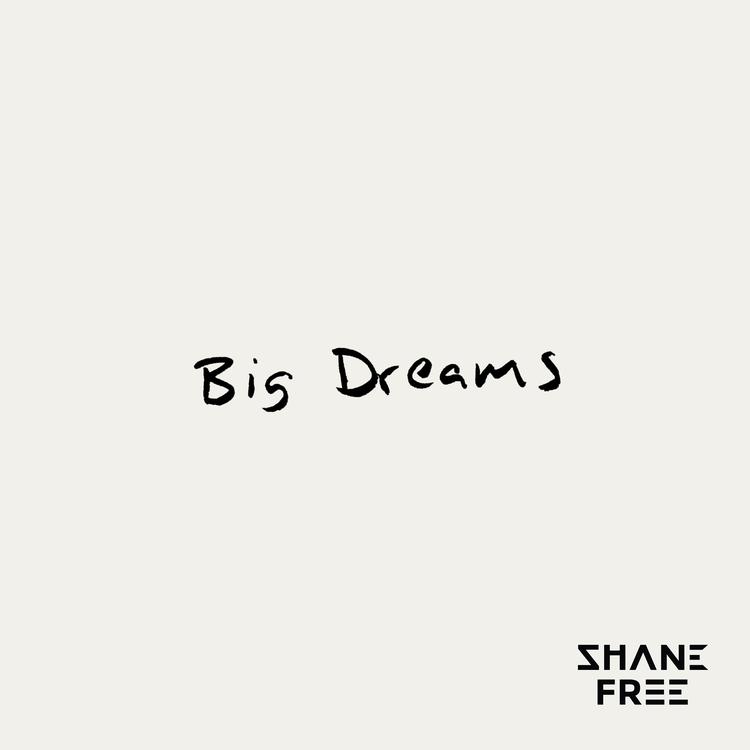 Shane Free's avatar image