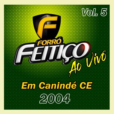 BANDA FORRÓ FEITIÇO's cover