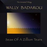 Wally Badarou's avatar cover