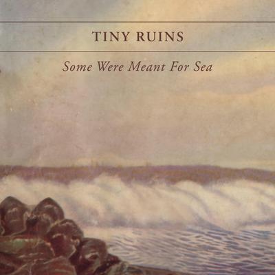 Bird in the Thyme By Tiny Ruins's cover