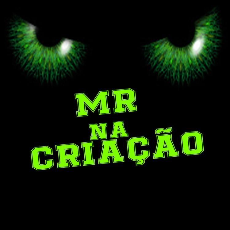 MR NA CRIAÇÃO's avatar image