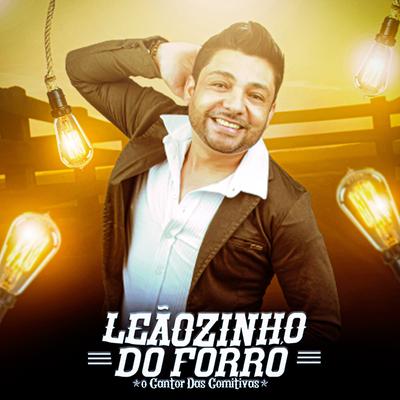 Hoje Vai Ter Fuzuê By Leãozinho do Forró's cover