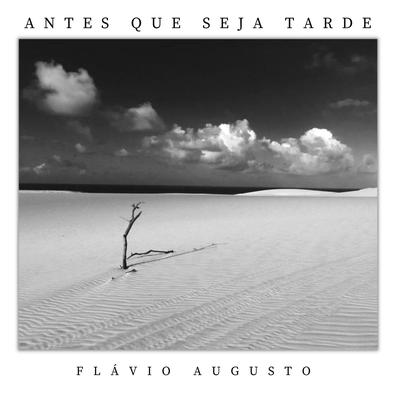 Flávio Augusto's cover