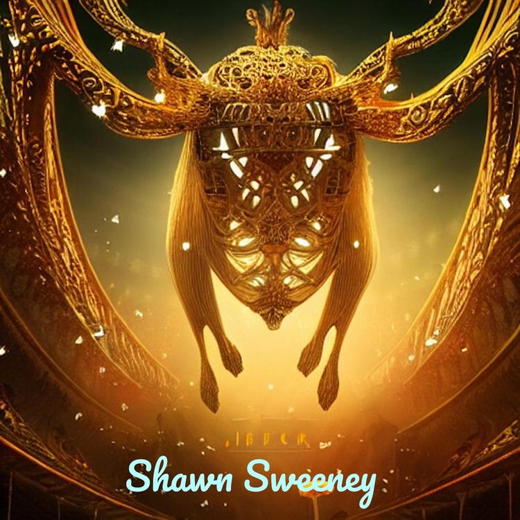 Shawn Sweeney's avatar image