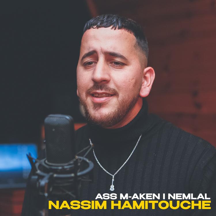 Nassim Hamitouche's avatar image